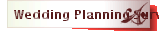 Wedding Planning Survey