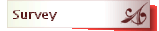 Survey