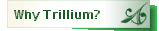 Why Trillium?